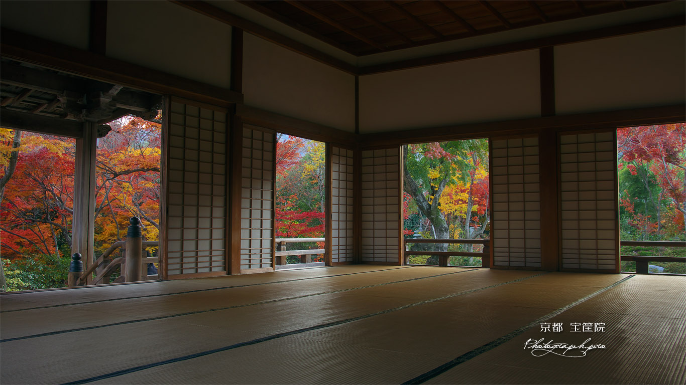 宝筐院 本堂からの紅葉 壁紙