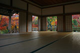 宝筐院 本堂からの紅葉