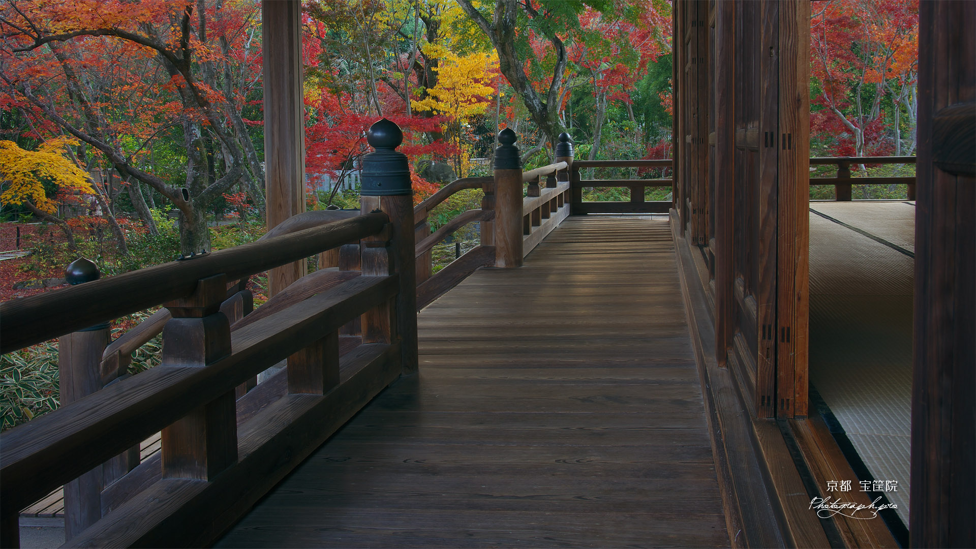 宝筐院 本堂と紅葉の庭園