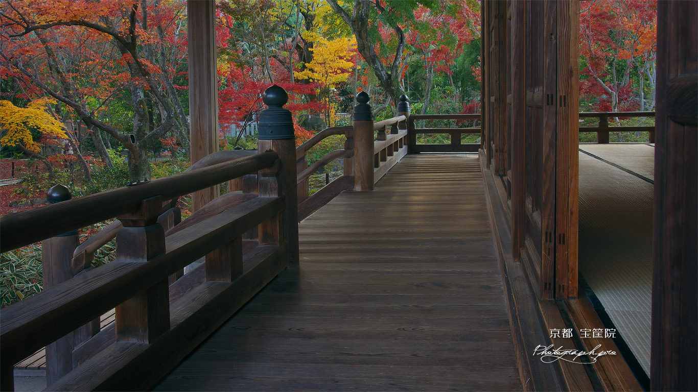 宝筐院 本堂と紅葉の庭園 壁紙