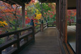 宝筐院 本堂と紅葉の庭園
