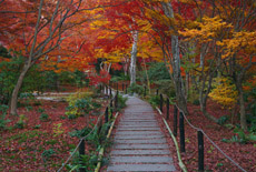 宝筐院