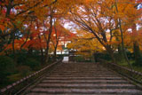 龍安寺 紅葉と庫裏