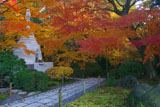 龍安寺 紅葉とパゴダ
