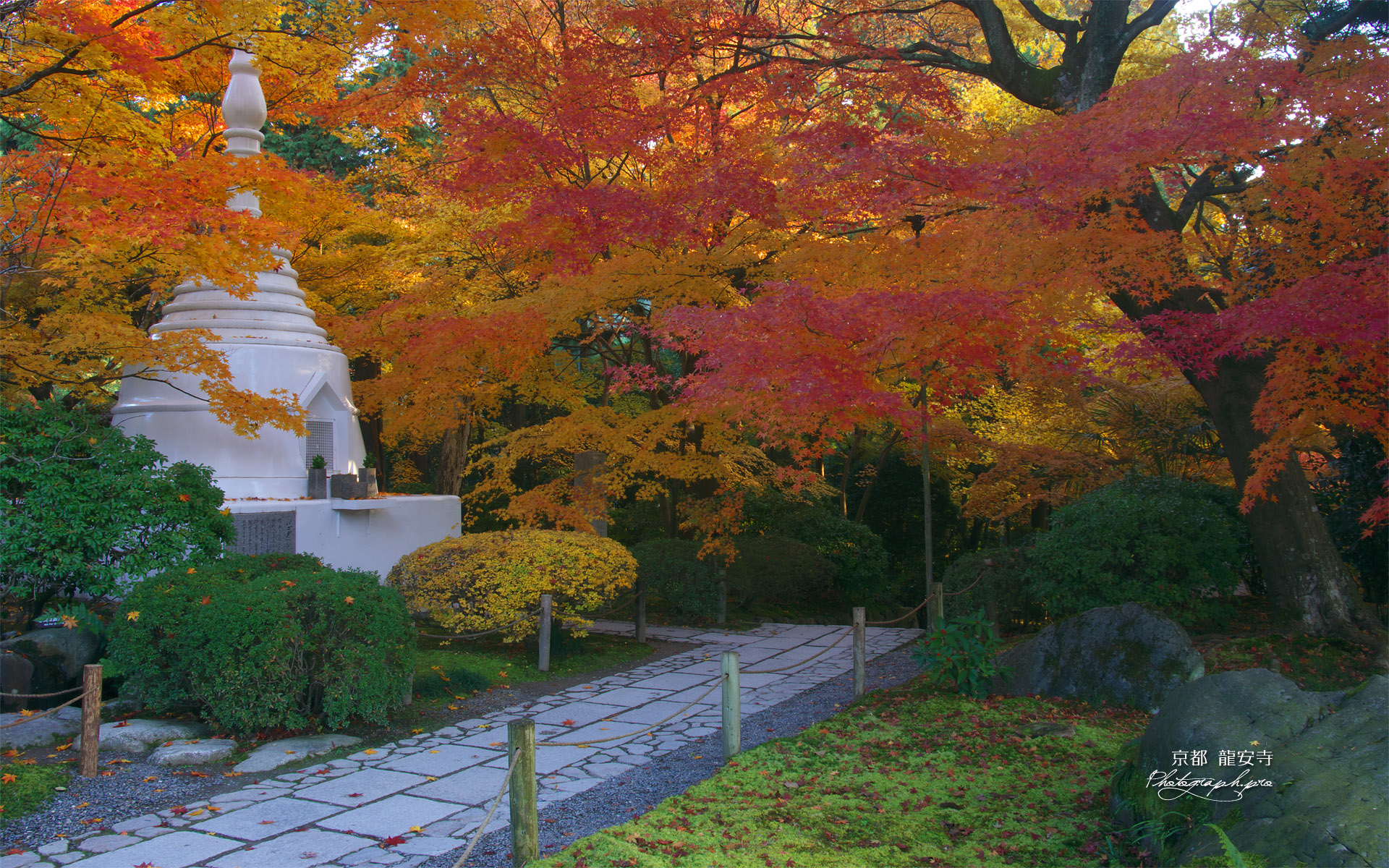 龍安寺 紅葉とパゴダ