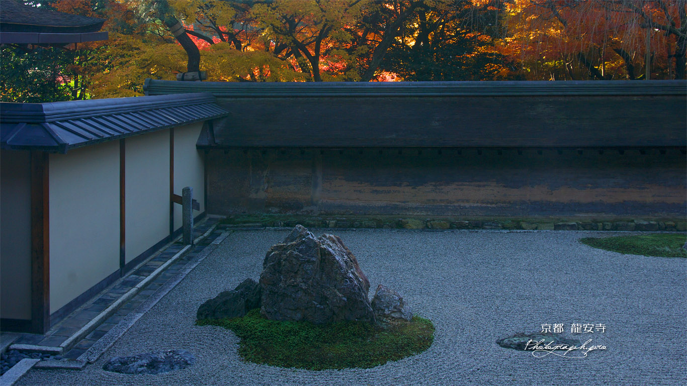 龍安寺 石庭と紅葉 壁紙