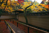大徳寺高桐院の四脚門
