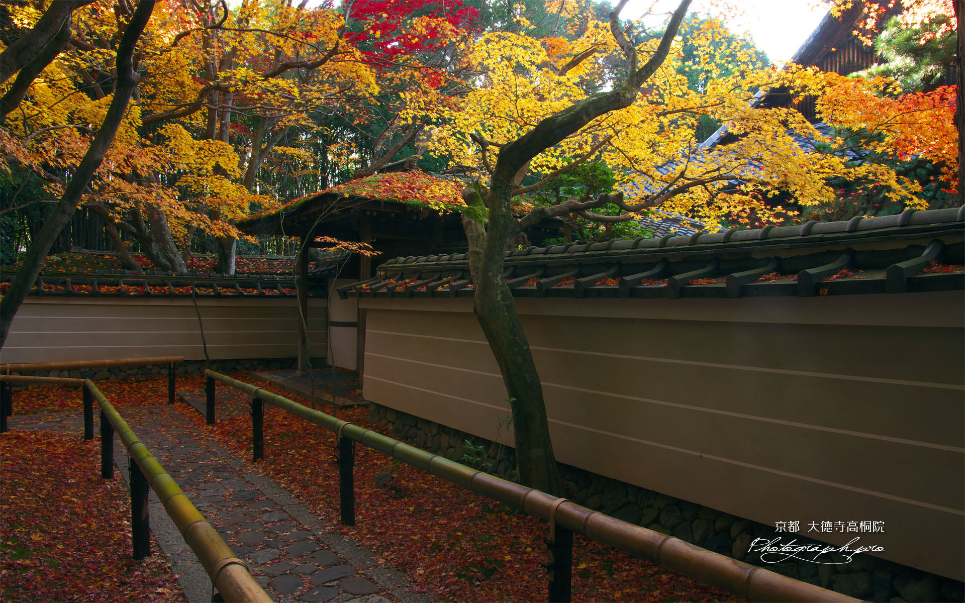 大徳寺高桐院の四脚門
