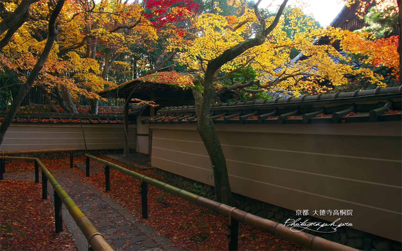 大徳寺高桐院の四脚門 壁紙