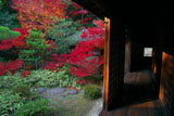大徳寺高桐院の松向軒