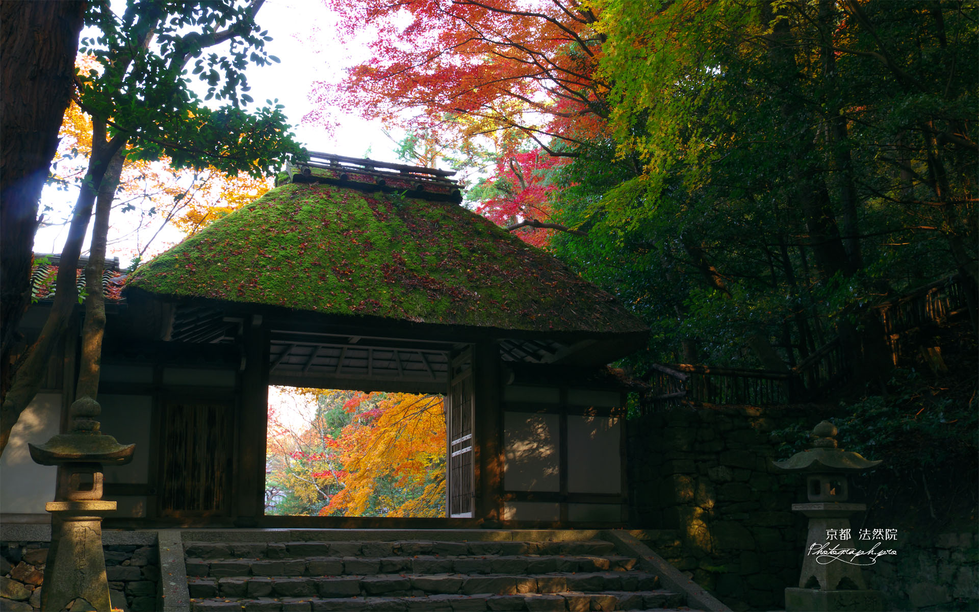 木漏れ日射す法然院山門と紅葉