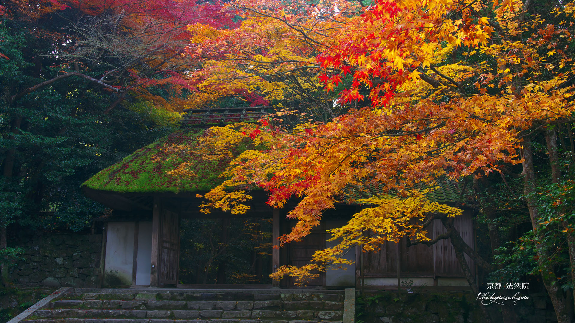 紅葉の法然院山門