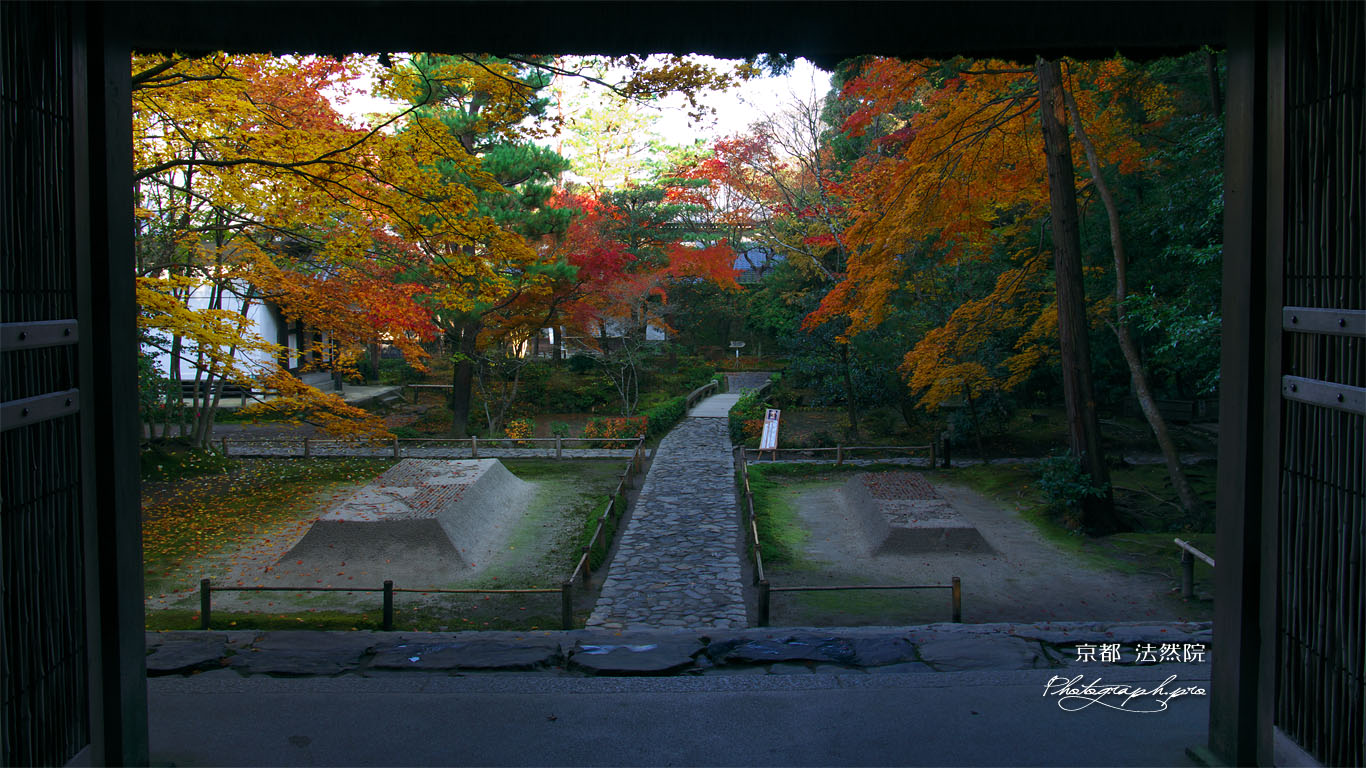 山門からの紅葉の法然院境内 壁紙