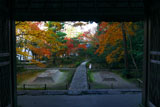 山門からの紅葉の法然院境内