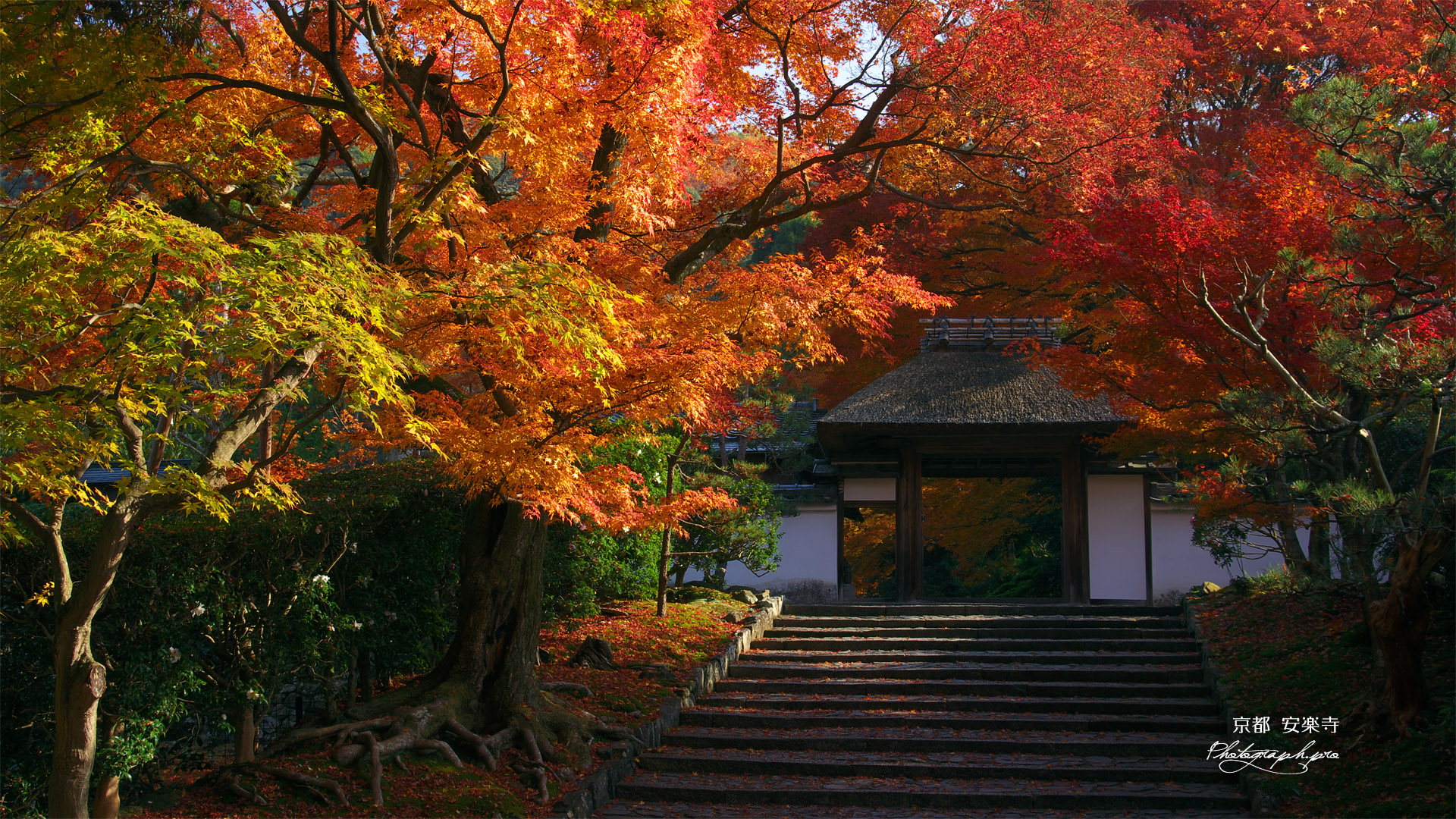 安楽寺 紅葉と山門