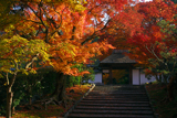 安楽寺 紅葉と山門