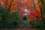 京都浄住寺の参道と紅葉