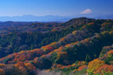 天園からの富士山と紅葉