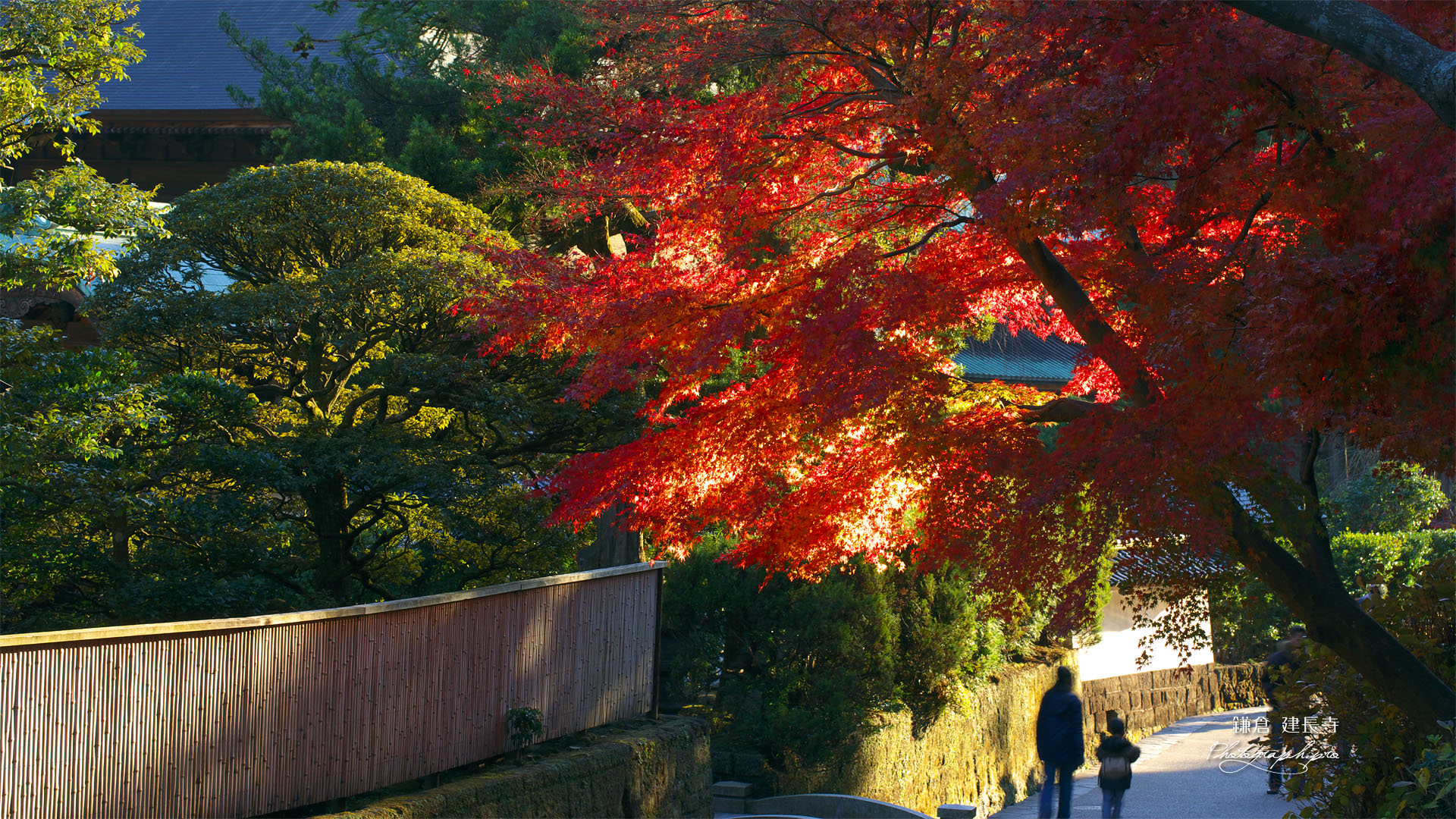 建長寺の紅葉と親子