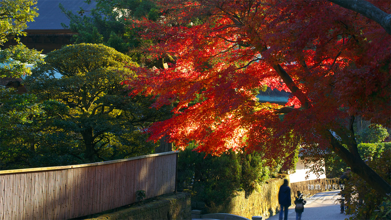 建長寺の紅葉と親子 壁紙