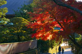建長寺の紅葉と親子