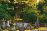 妙本寺 敷銀杏と供養塔