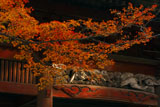 妙本寺 紅葉と二天門欄間