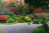 鎌倉報国寺 石庭の紅葉