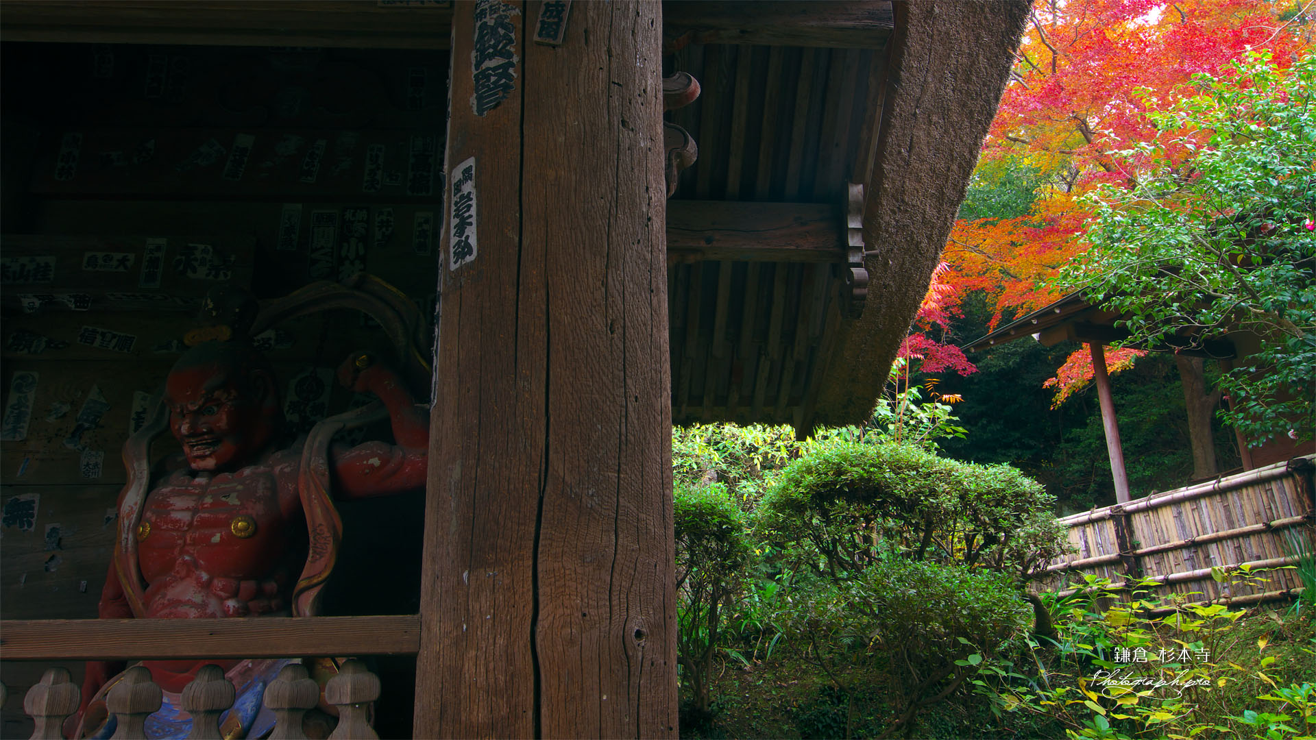鎌倉 杉本寺仁王像と紅葉