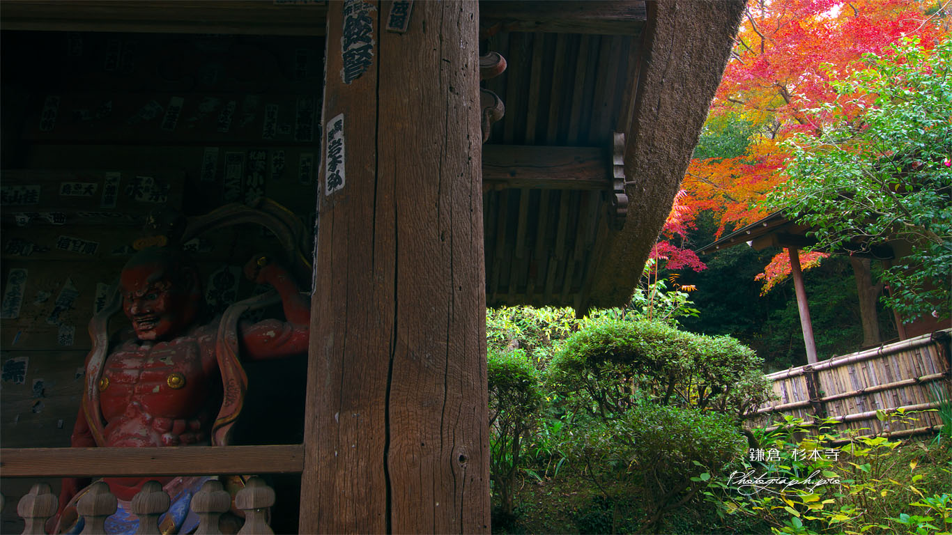 鎌倉 杉本寺仁王像と紅葉 壁紙
