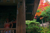 鎌倉 杉本寺仁王像と紅葉