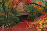 紅葉の浄智寺薬医門
