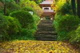 紅葉の浄智寺薬医門