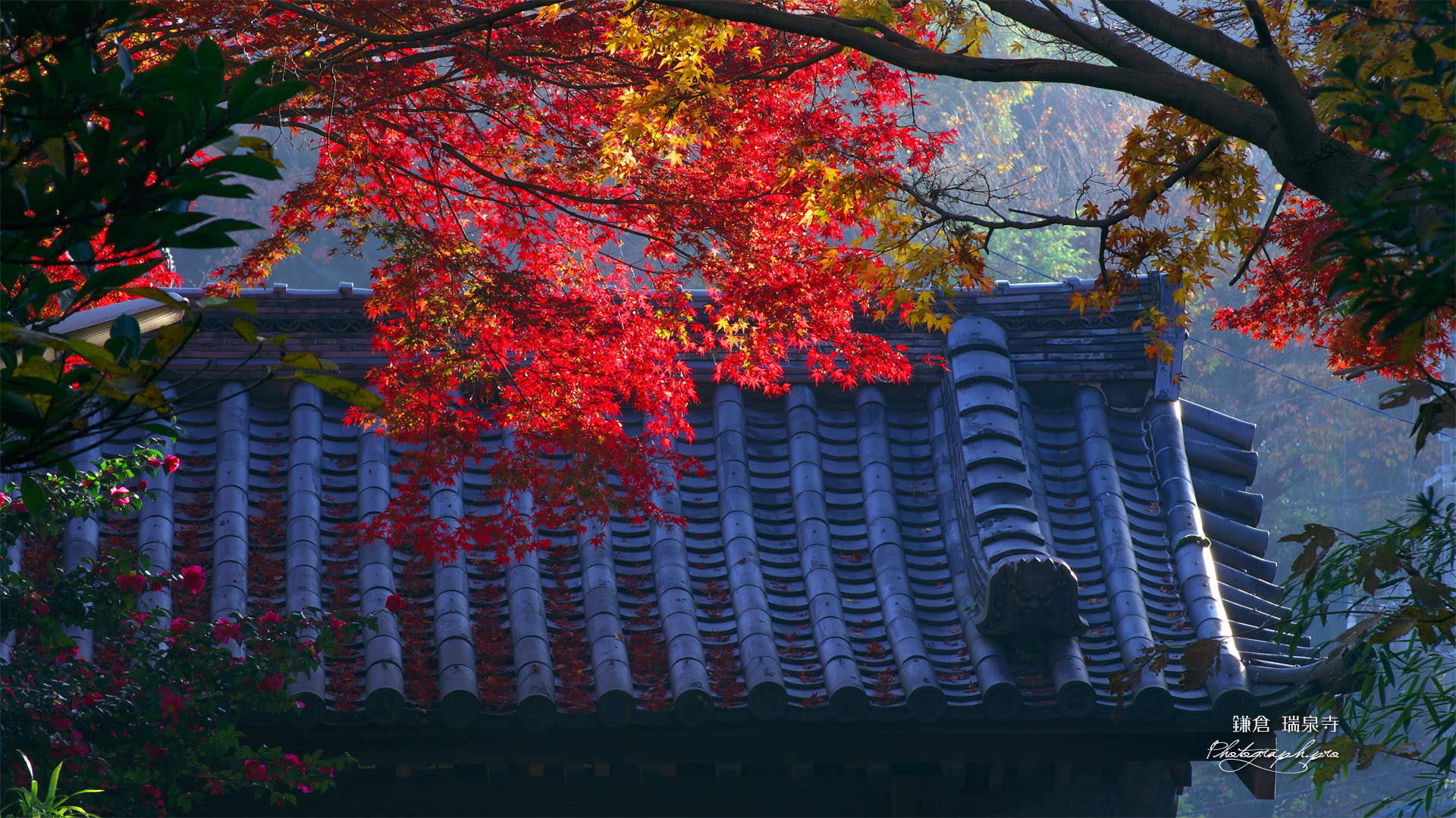 瑞泉寺 紅葉と総門