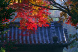 瑞泉寺 紅葉と総門