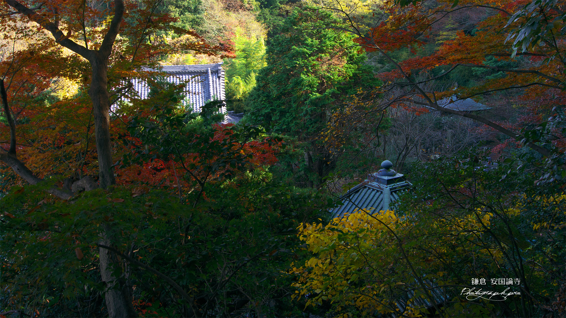 安国論寺 松葉ヶ谷の冬紅葉