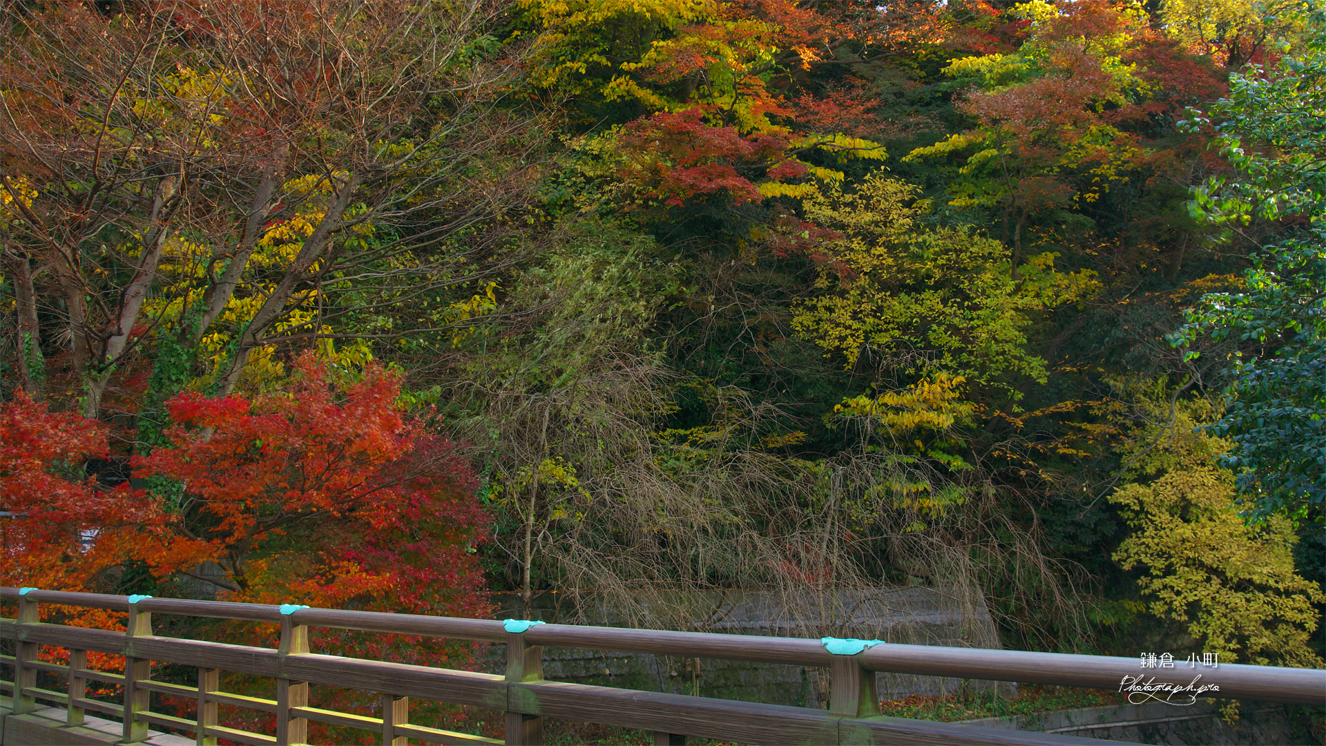 鎌倉小町 寶戒寺橋と紅葉山