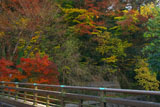 鎌倉小町 寶戒寺橋と紅葉山
