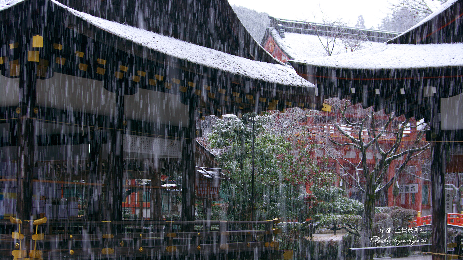 雪降る上賀茂神社