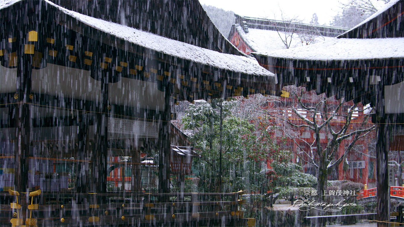 雪降る上賀茂神社 壁紙