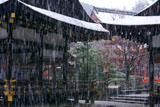 雪降る上賀茂神社