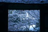 山門越しの雪の法然院本堂
