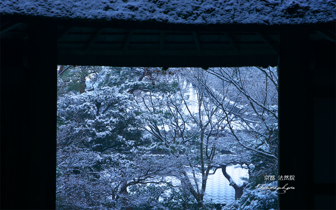 山門越しの雪の法然院本堂 壁紙