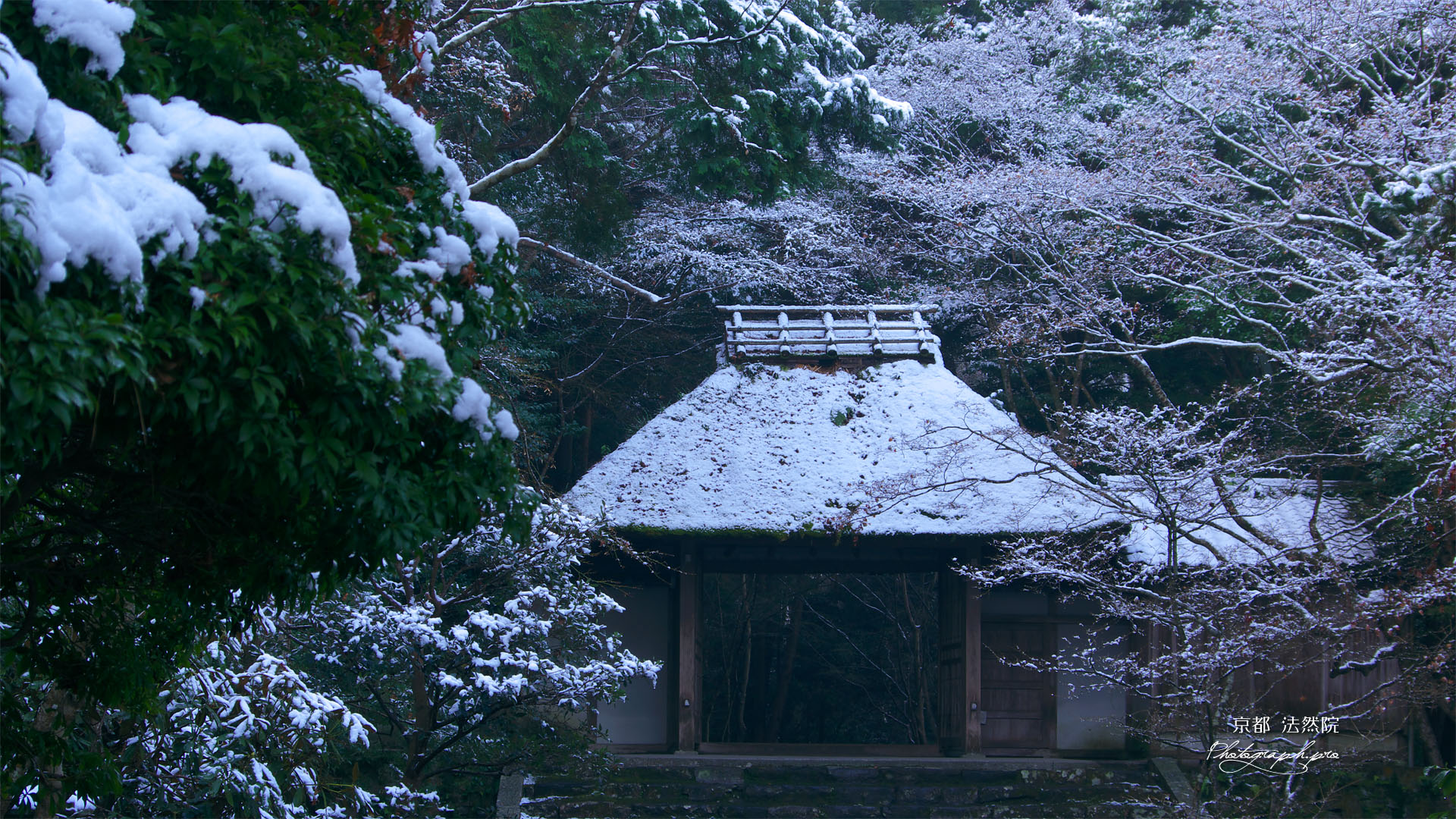 雪の法然院山門