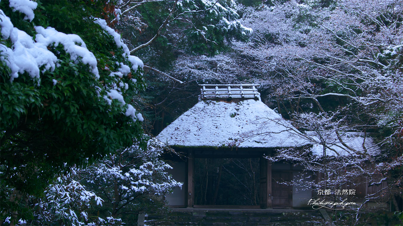 雪の法然院山門 壁紙