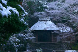 雪の法然院山門