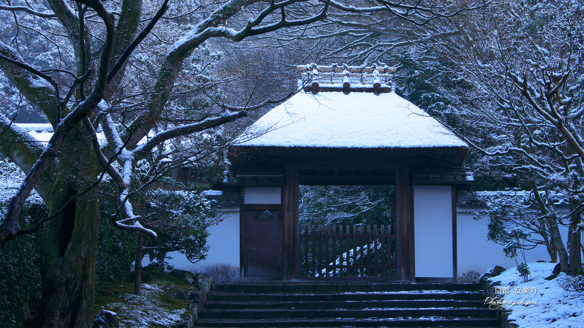 安楽寺 淡雪の山門