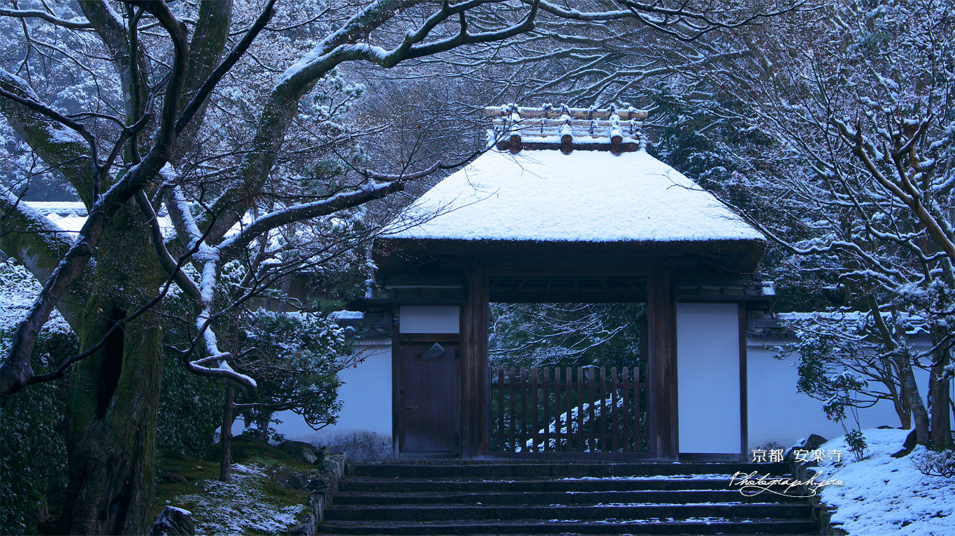 安楽寺 淡雪の山門 壁紙