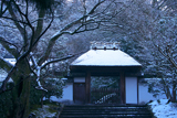 安楽寺 淡雪の山門