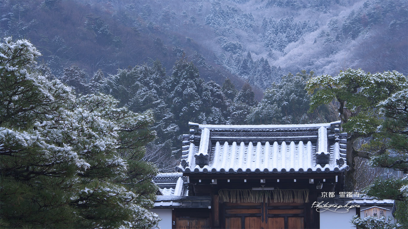 霊鑑寺 淡雪の表門 壁紙